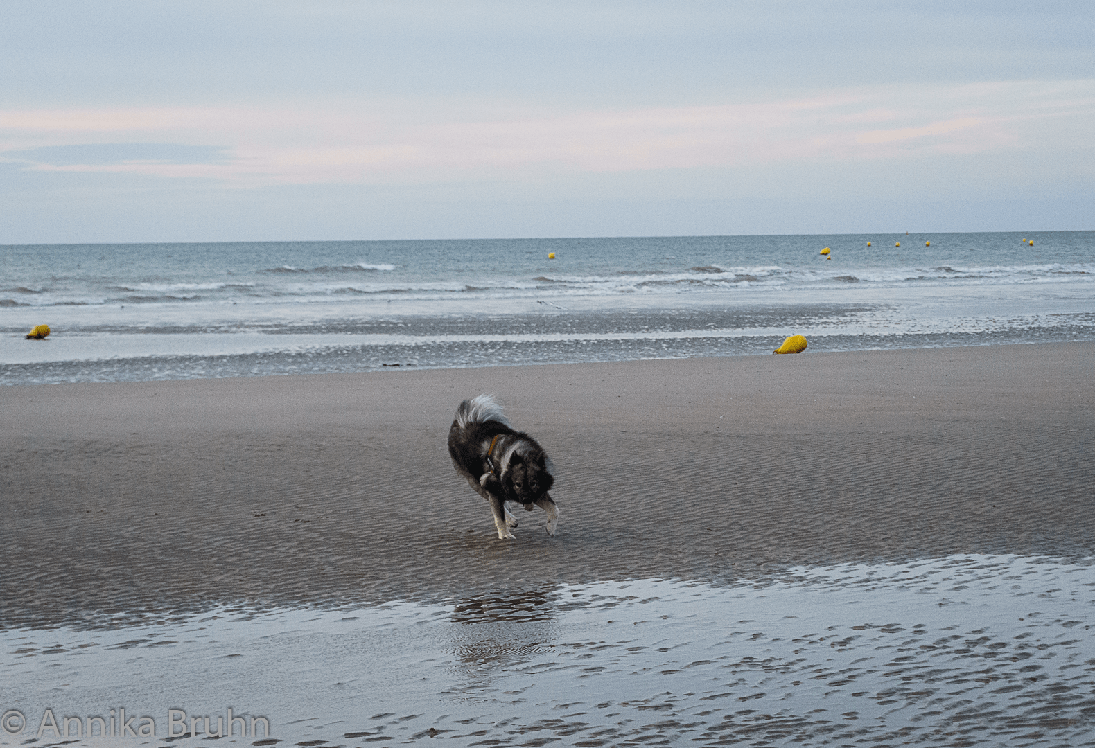 QsSpielt am Strand